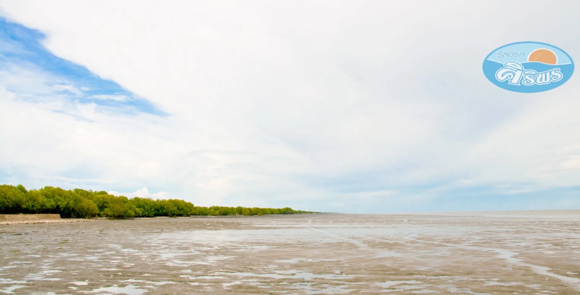 Mangrove Planting in Khlong Khon